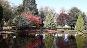 Image result for Strathaven Bowling Club