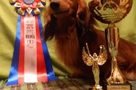 Image result for site:buyreklama.ru/*