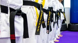 Image result for Bromsgrove Taijutsu Kai Self Defence