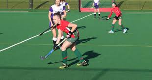 Image result for Norwich Dragons Hockey Club