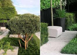 Image result for Ulf Nordfjell