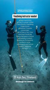 Image result for Bath Freediving Club