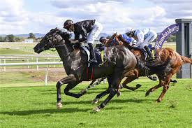 Image result for Clarendon Bowling Club