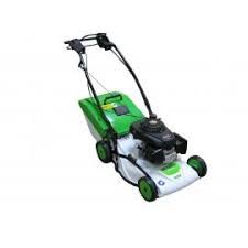 Image result for etesia tehron