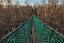 Image result for PONT DE SINGE