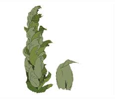 Attēlu rezultāti vaicājumam “Scorpidium scorpioides”