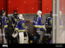 Image result for Oxford City Stars Ice Hockey Club