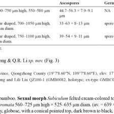 Attēlu rezultāti vaicājumam “Rosellinia desmazieri”