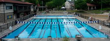 Image result for Odiham swim club