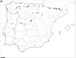 Attēlu rezultāti vaicājumam “Straminergon stramineum”