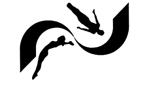 Image result for Gatwick Flyers Trampoline Club