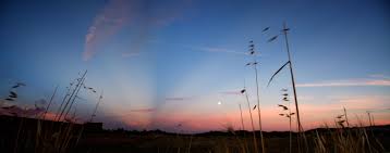 Attēlu rezultāti vaicājumam “anticrepuscular rays”