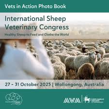 Image result for Teamsheep