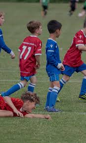 Image result for Jarvis Brook Juniors Football Club