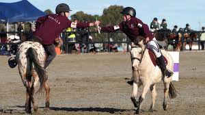 Image result for Thoroughbreds Netball Clubs