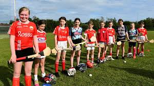 Image result for St Rita`s Camogie Club