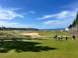 Image result for Plymouth Swallows Gc