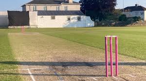Image result for Epsom Cricket Club