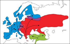 Attēlu rezultāti vaicājumam “Erinaceus sp.”