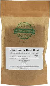 Attēlu rezultāti vaicājumam “Rumex hydrolapathum fruit”