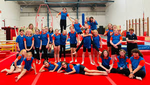 Image result for Cardiff Olympic Gymnastics Club