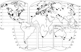 Attēlu rezultāti vaicājumam “Leocarpus fragilis stalked”