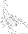 Scorpion coloring page