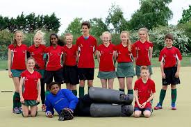 Image result for Norwich Dragons Hockey Club