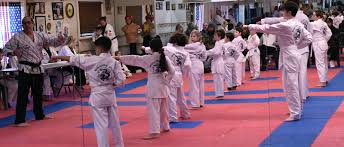 Image result for Hidden Dragon Karate-Do