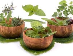 Image result for Neuseeländer Salat