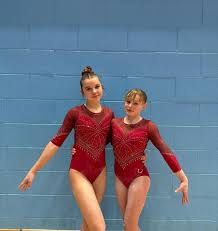 Image result for Aylesbury School Of Gymnastics