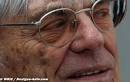WTCC - Ecclestone verrait bien Schumacher chez Red Bull 11 weeks ago
