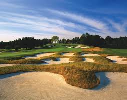Image result for Blairbeth Golf Club
