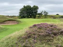 Image result for Forfar Golf Club
