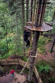 Image result for The Go Ape Experience (Swinley Forest)