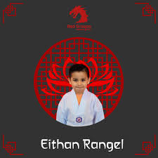 Image result for Red Dragon Taekwondo club