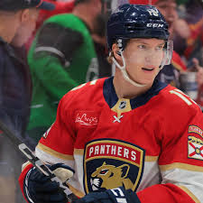 Image result for Pentland Panthers