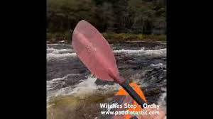 Image result for Paddletastic