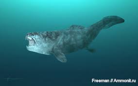 Attēlu rezultāti vaicājumam “Placodermi”