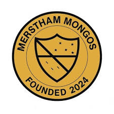 Image result for Merstham Football & Social Club