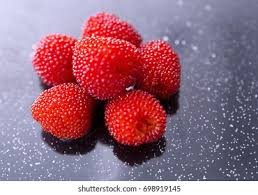 Attēlu rezultāti vaicājumam “Rubus illecebrosus”