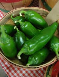 Afbeeldingsresultaat voor jalapeno early hot pepper