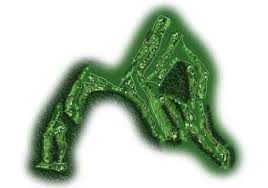 Image result for Black Horse Ballooning Club