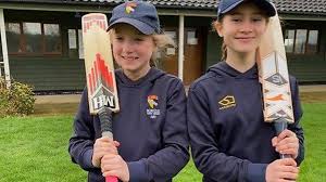Image result for Great Melton Cricket Club