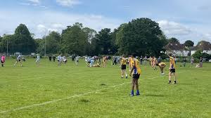 Image result for Elmbridge Eagles Rugby League Club