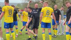 Image result for Cwmbran Celtic F C