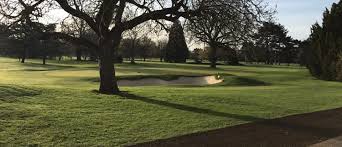 Image result for Ashford Tanners Handball Club