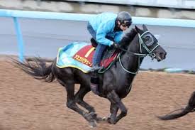 「ヴィクトリア・ウッド」の画像検索結果