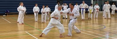Image result for Eurokwai Shotokan Karate Club