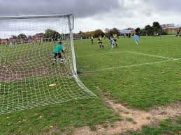 Image result for Warsash Wasps Sports & Football Club